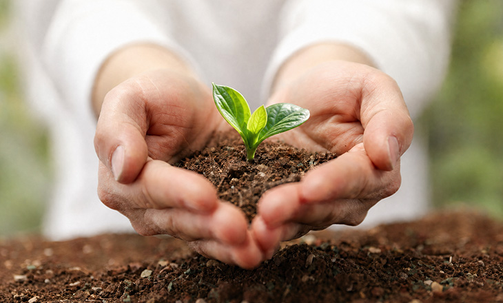 Brand Origin: A Scientific Seed, Redefining Modern Wellness